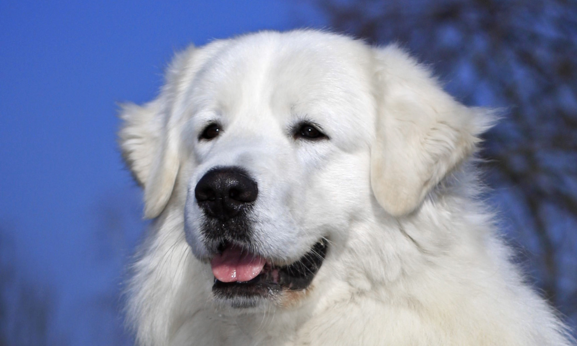 Coudy Bratroňské štěstí